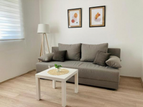 Apartman Vlasina 2